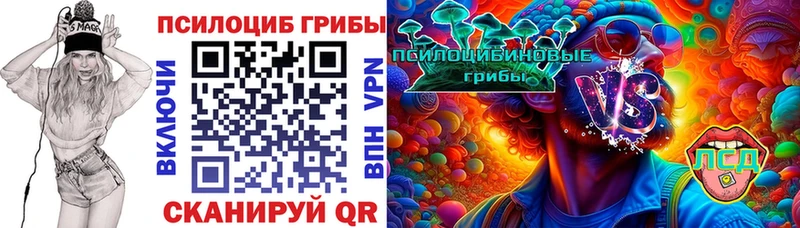 Галлюциногенные грибы Magic Shrooms  Багратионовск 